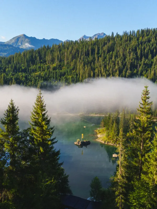 Persönlicher Einblick 3
